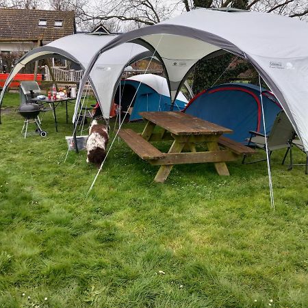 Basic 2P Tent Sotterum Hotel Cornwerd Exterior photo